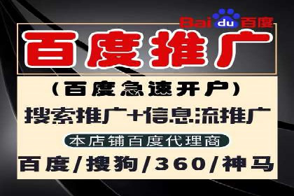 某企业如何通过SEM提升品牌影响力——代运营公司助力